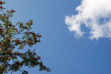 Similar image 21613567