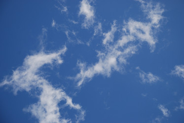 Similar image 21613570