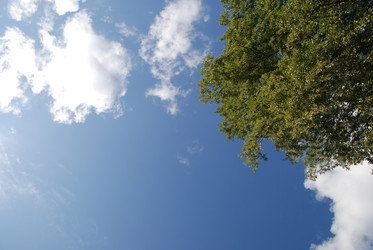 Similar image 21613575