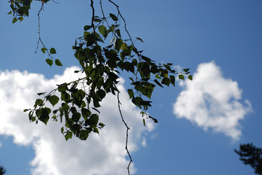 Similar image 21613576