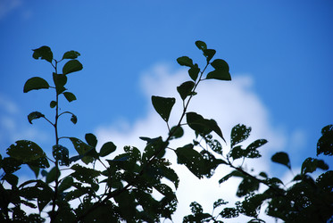 Similar image 21613578