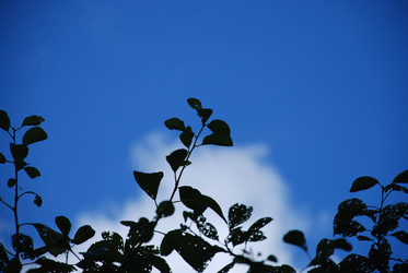 Similar image 21613579