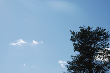 Similar image 21613580