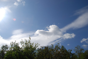 Similar image 21613581