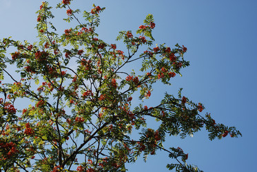 Similar image 21613582