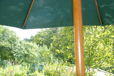 Similar image 21613588