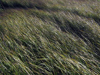 Similar image 21611445