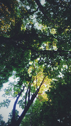 Similar image 21611447