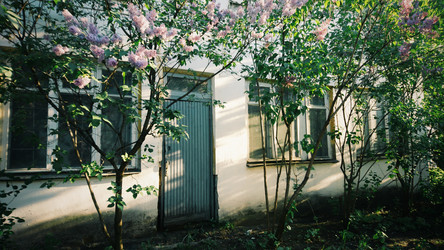 Similar image 21611448