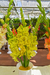 Similar image 21611984