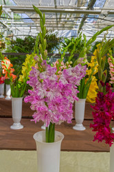 Similar image 21611986