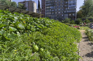 Similar image 21611987