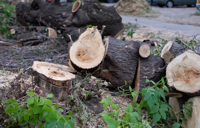 Similar image 21611454