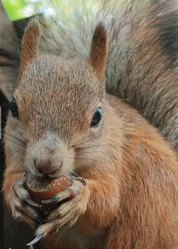 Similar image 21617489