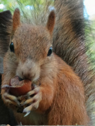 Similar image 21621118