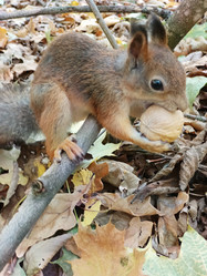 Similar image 21617490