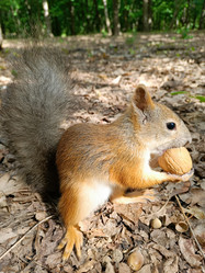 Similar image 21617491