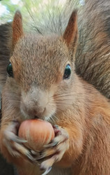 Similar image 21617492