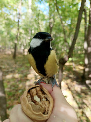 Similar image 21617493