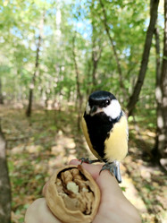 Similar image 21617494