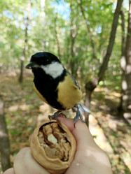 Similar image 21621167