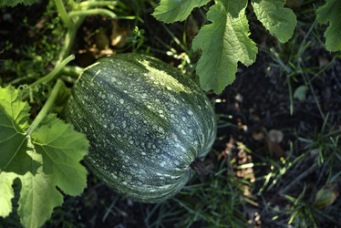 Similar image 21617526