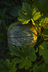 Similar image 21617527