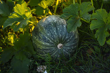 Similar image 21617528