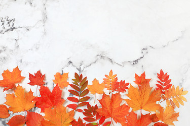 Similar image 21621176