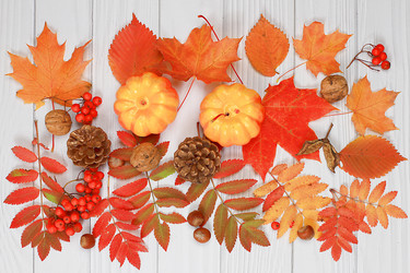 Similar image 21621181