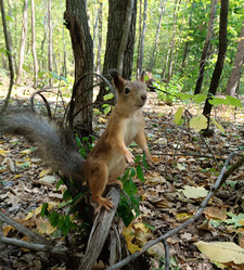 Similar image 21617531