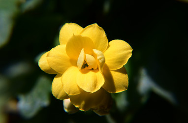 Similar image 21621623