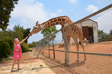 Similar image 21621626