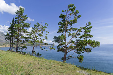 Similar image 21617534