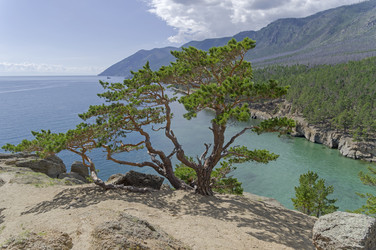 Similar image 21617542