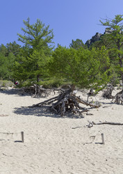 Similar image 21617543