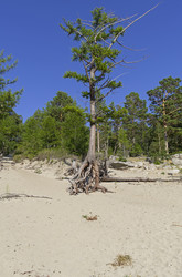 Similar image 21617544