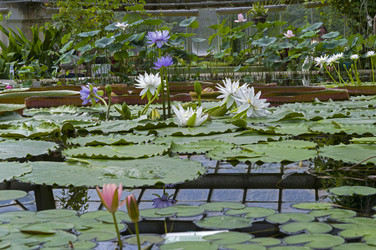 Similar image 21617547