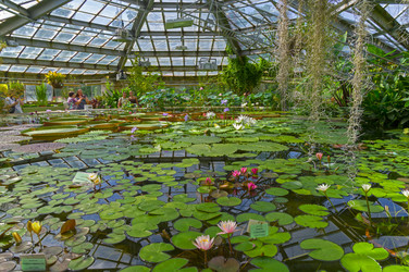 Similar image 21617548