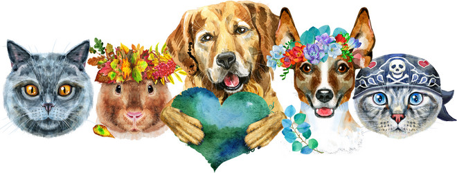 Similar image 21628331