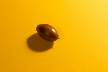 Similar image 21618017