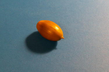 Similar image 21618019