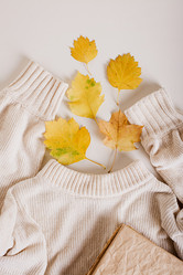 Similar image 21620996