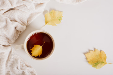 Similar image 21620999