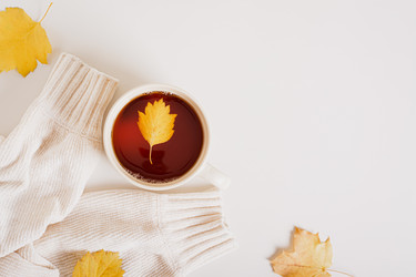 Similar image 21621002