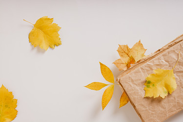 Similar image 21621005