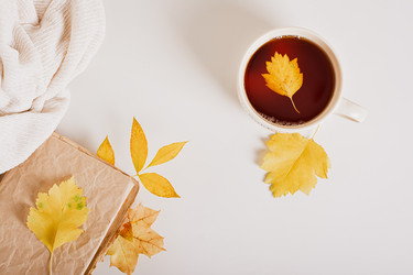 Similar image 21621006