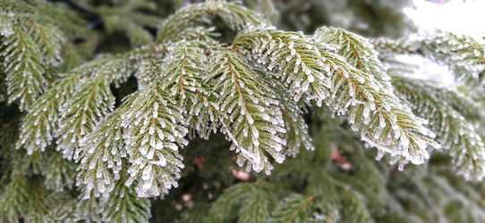 Similar image 21626963