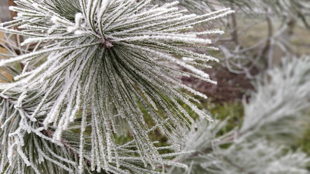 Similar image 21627057