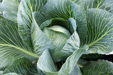 Similar image 21621121